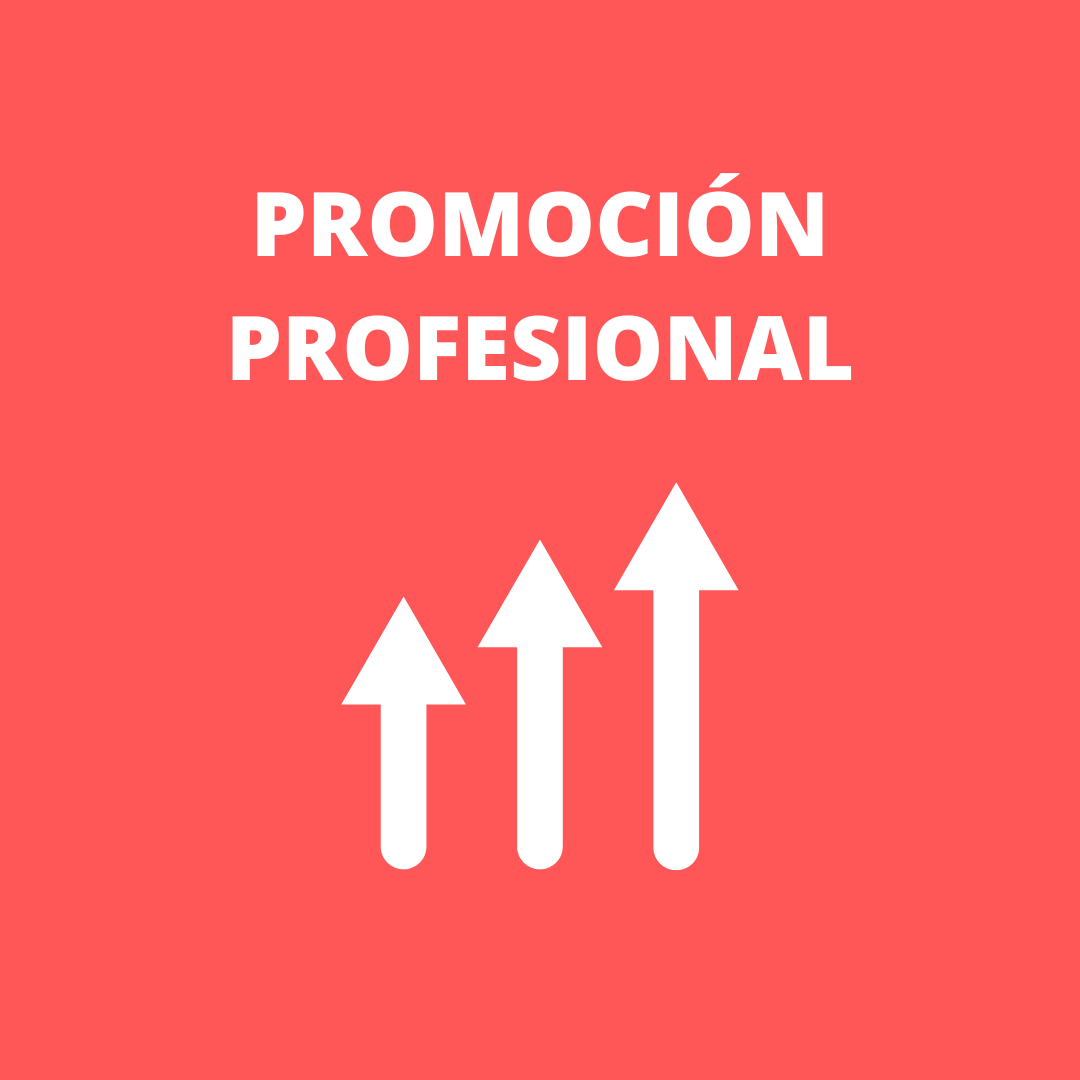 3. Promoción profesional